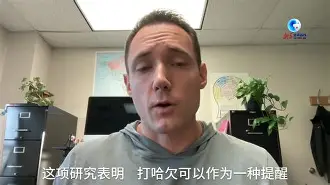 开云体育-阿雅克肖向斯特拉斯堡发起冲击