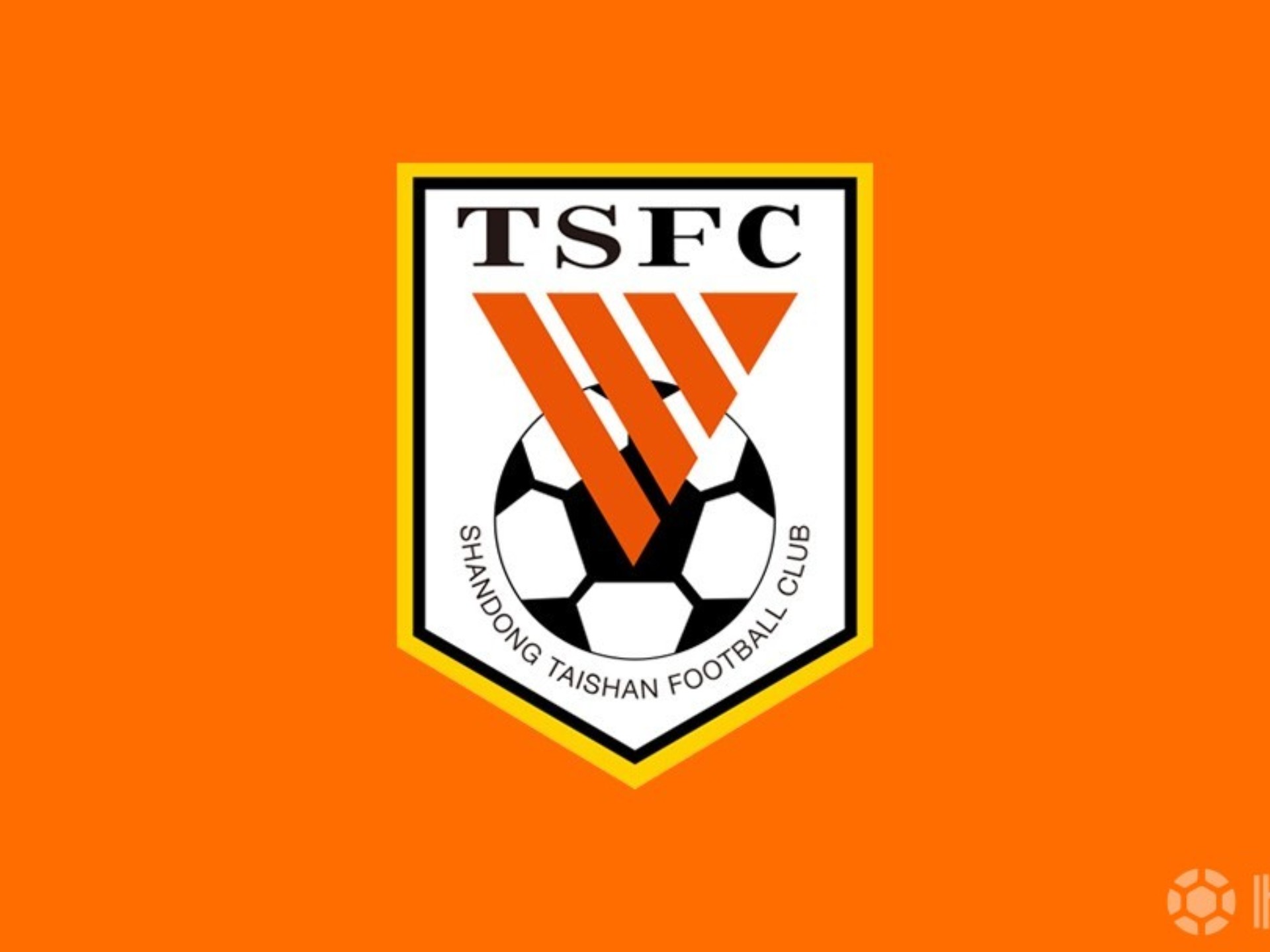 开云体育APP下载-鲁能主场告捷，终结苏宁连胜