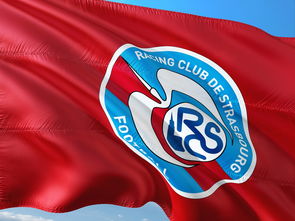 开云体育app-帕尔梅拉斯攻防转换加快，比赛节奏全面提升