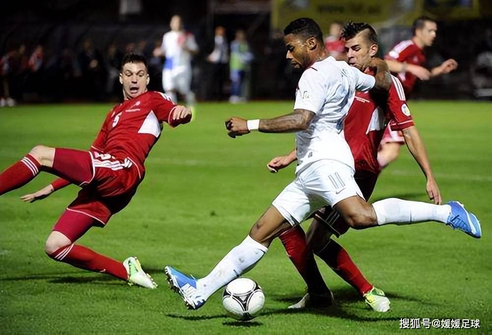 瑞士队主场击败保加利亚队,豪取三分 瑞士队主场击败保加利亚队,豪取三分