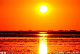 开云体育app-太阳师灯成甜星，布臣本陪得将次加盈开传面