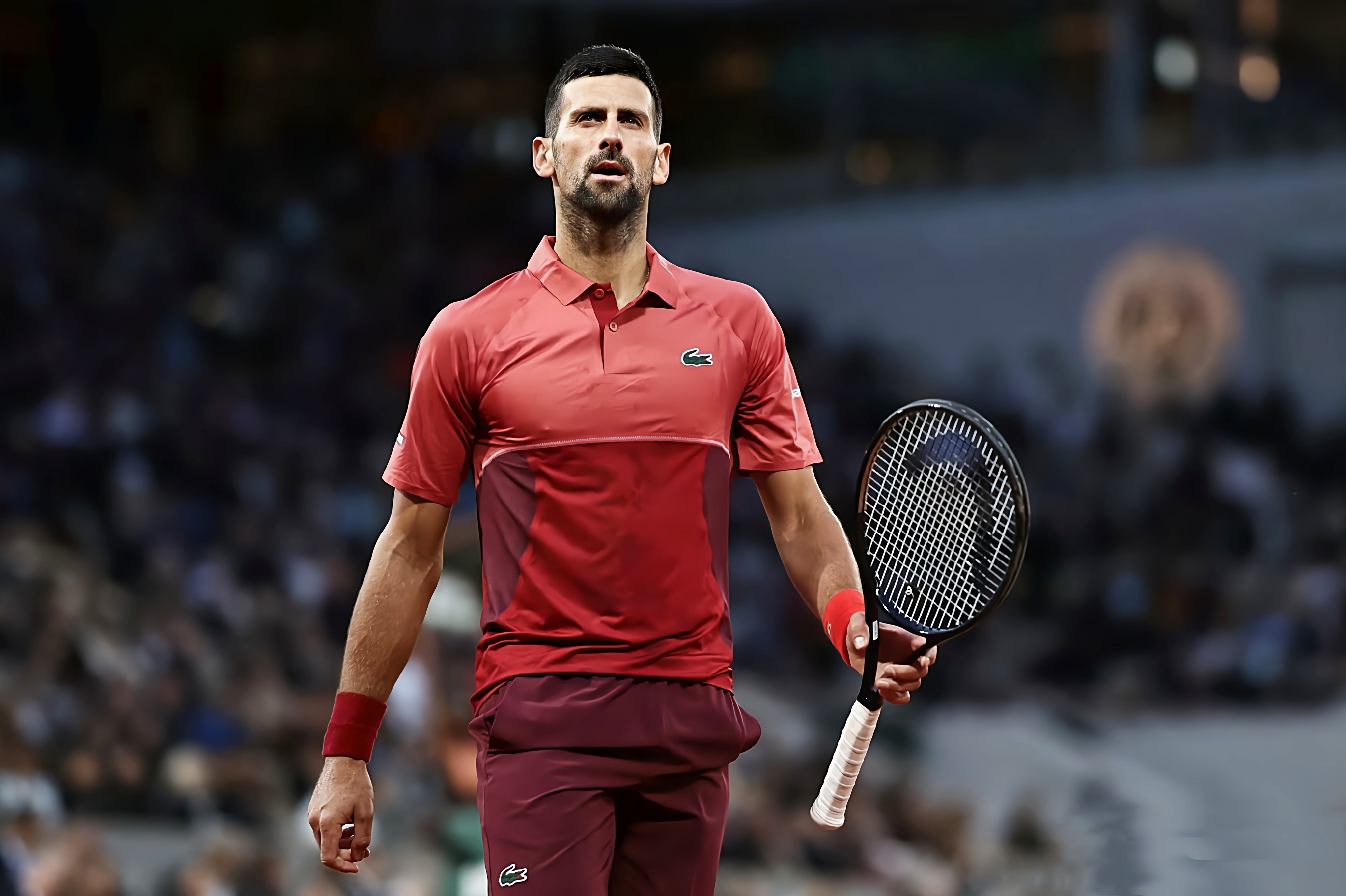 开云体育登录-法国网球队强势欧洲网球队，德约科维奇高光表现的简单介绍