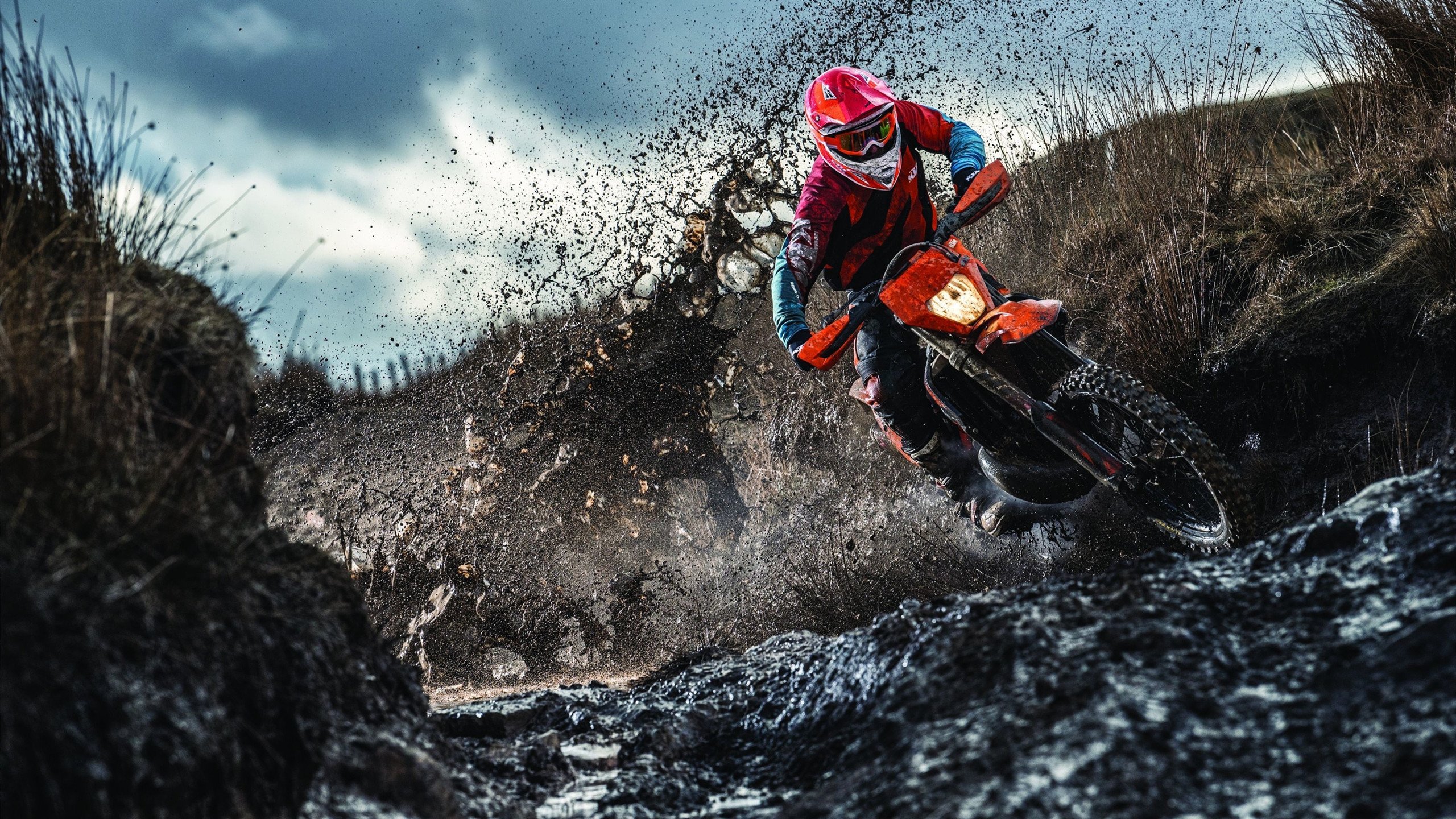 当蓝黑条纹席卷欧洲红魔，一场只存在于数据洪流中的凯恩统治